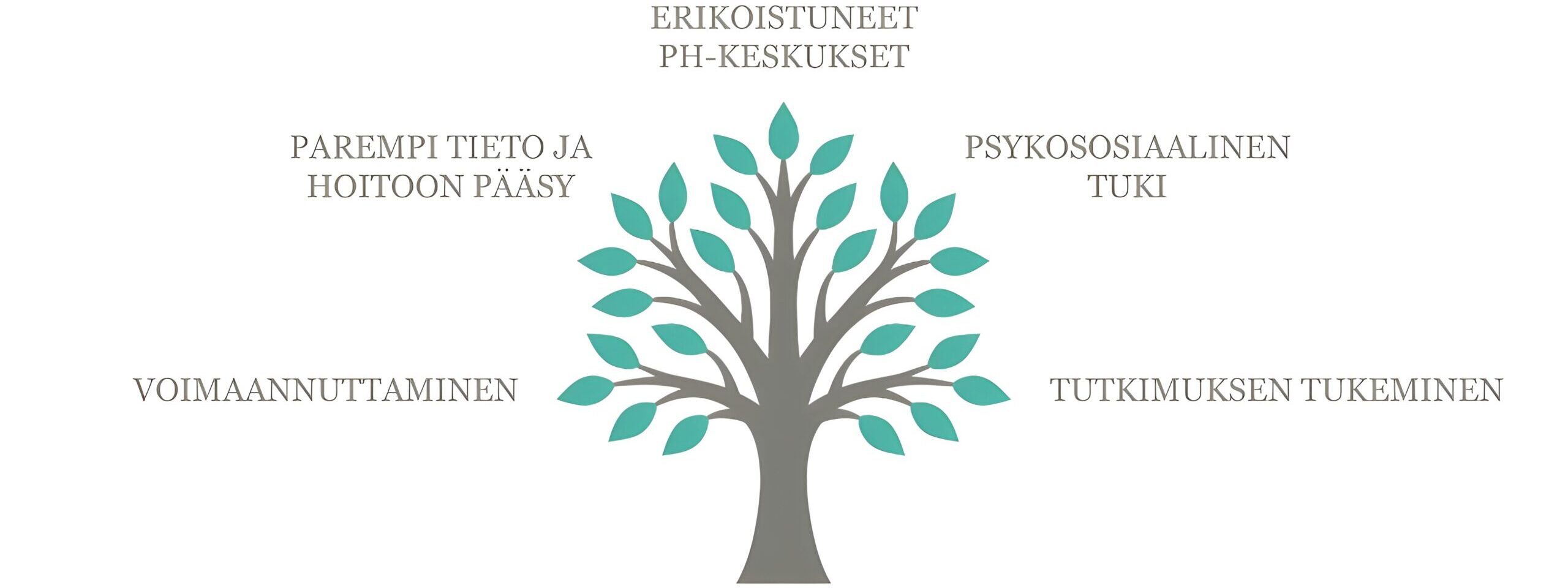 SuomenPAH tavoitteet ver2